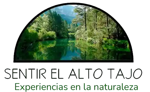 logo alto tajo