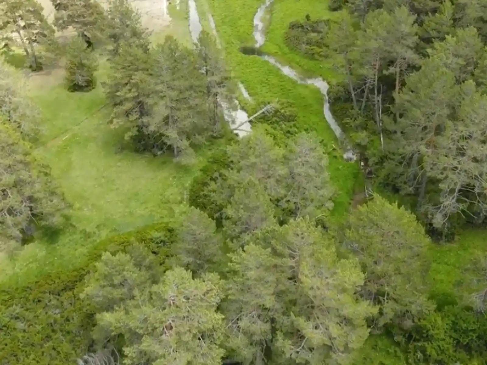 Reserva Natural Fluvial del río Tajo