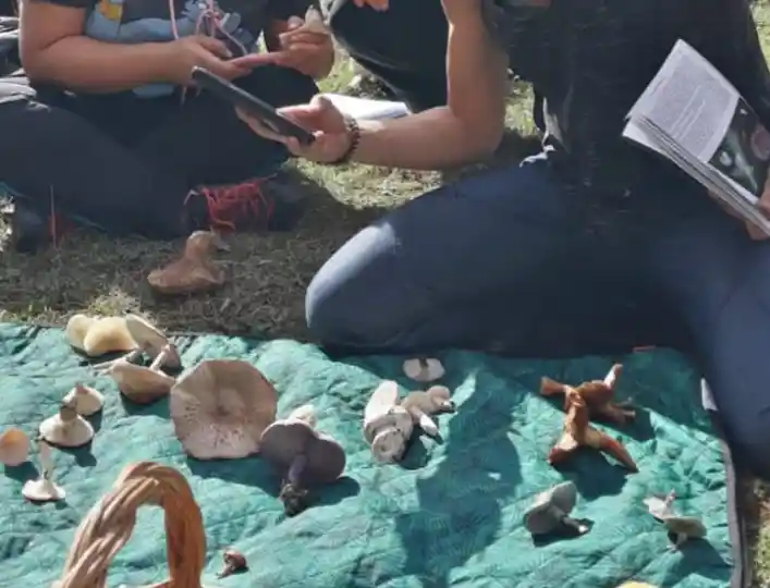 taller setas alto tajo